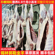 内蒙古全羊锡林郭勒草原散养整只鲜羔羊肉，特产清真全羊礼盒装30斤