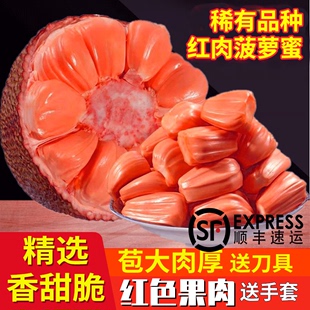 稀有品种，纯红果肉印尼红肉菠萝蜜香甜脆新鲜水果大树菠萝