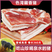 色湾藏香猪黑毛猪肉，五花肉新鲜冷冻散养原生态土猪肉山猪肉土猪肉
