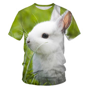 夏季短袖t恤动物图案3D数码印花圆领宽松男士半袖打底衫