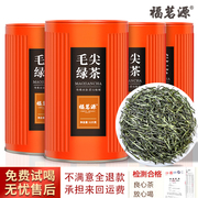 毛尖绿茶2023新茶信阳产地明前春茶茶叶特级嫩芽散装浓香型500g