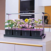 智能种菜盆室内无土栽培蔬菜，水培设备种植箱，阳台种菜机