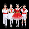 六一儿童演出服蓬蓬裙女童舞蹈纱裙，小学生朗诵红歌合唱服装表演服