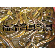 鳝鱼龙虾河虾泥鳅螃蟹一扫光，虾鳝引虾诱鳝500毫升瓶2瓶20元.