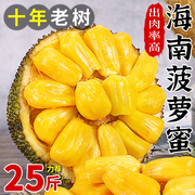 海南三亚菠萝蜜新鲜水果当季黄肉波罗蜜整箱特产一整个木菠萝