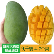 越南大青芒果大果9斤进口热带新鲜水果广西百色金煌芒水仙农产品