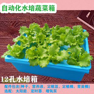 水培蔬菜箱阳台无土栽培学生种菜教学家庭水培菜自动化蔬菜培育箱
