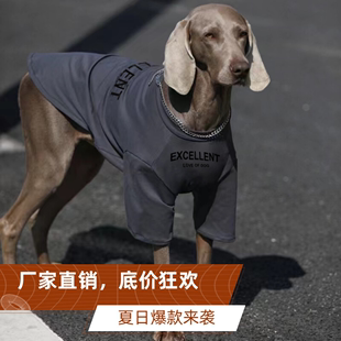 狗狗衣服大型犬夏季薄款帅气潮牌金毛，拉布拉多防掉毛宠物衣服夏装