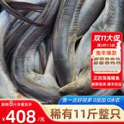 上海24小时深海鲜鳗鱼，5500g整条无污染未杀新鲜海鲜鳗鱼