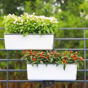 长方形种菜盆家庭阳台专用蔬菜，种植箱绿萝塑料花盆长条懒人自吸水