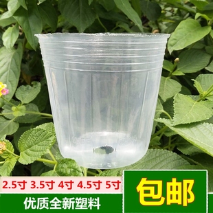 蝴蝶兰专用营养杯种植杯兰花栽培花盆石斛兰育苗透明塑料盆营养钵