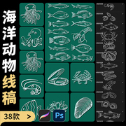 海洋海底生物procreate笔刷，ps动物鱼虾章鱼，螃蟹贝壳海星插画线稿