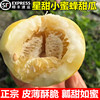 甜瓜香瓜新鲜头茬现摘当季水果，纯种正宗星甜20小蜜蜂蜜罐甜瓜