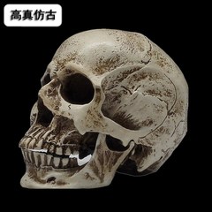 1 2树脂骷髅头绘画o 人头骨艺用人体肌肉骨骼解剖头骨模型美术现