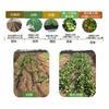 农科院有机肥料花卉植物蔬菜瓜果通用多种元素营养水溶肥炭基质肥