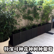 阳台种菜盆家庭特大长条花盆塑料，蔬菜种植箱，长方形种植槽果树葡萄