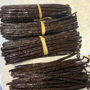 马达加斯加香草豆荚，香荚兰17-19厘米烘焙原料50克装