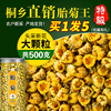 胎菊500g菊花茶桐乡胎菊王特级正宗杭白菊贡菊新茶包花茶散装