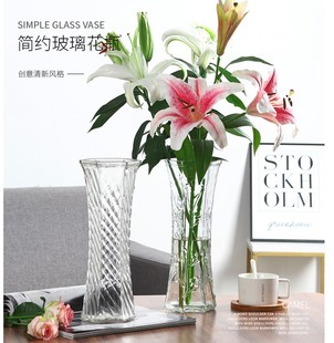 特大号玻璃花瓶家用创意透明水养，富贵竹百合花瓶客厅插花干花摆件