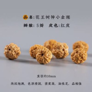 小金刚菩提子手串单圈手链男士佛珠盘玩绕指柔文玩核桃单圈念珠女