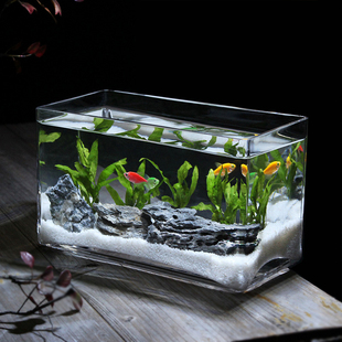 奇艺家居玻璃长方形孔雀鱼缸斗鱼缸一次成型水族箱小型一体缸加厚