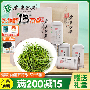 安吉白茶2024新茶特级绿茶叶，250g送礼盒装，半斤春茶