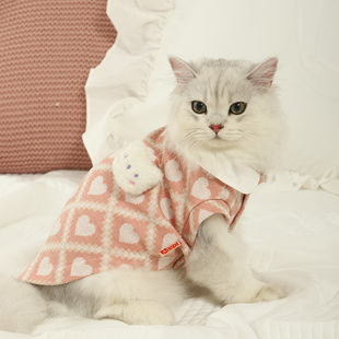 猫咪衣服冬季冬装的布偶，冬天保暖小猫可爱秋装，银渐层幼猫宠物猫猫