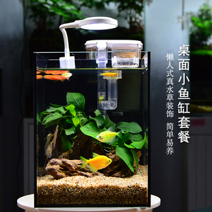 小鱼缸小型桌面鱼缸家用办公室免换水玻璃迷你微景观生态缸