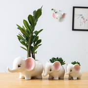 个性创意小花盆多肉肉卡通陶瓷绿植盆趣味可爱动物盆桌面阳台吉象