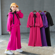 18韩版童装女童冬装，加绒带帽卫衣阔腿裤中大儿童洋气时髦两件套装