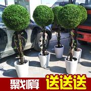 仿真球形绿植盆栽室内客厅植物米兰草球盆景摆件办公室假树发财树