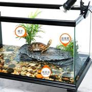 大型底部排水乌龟缸带晒台免换水，玻璃龟鱼缸，生态饲养缸宠物龟