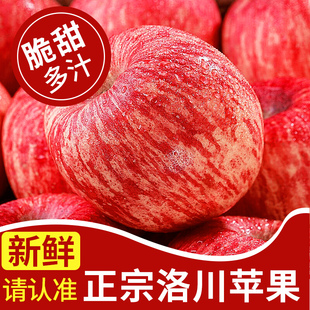 正宗陕西洛川苹果水果新鲜当季整箱红富士冰糖心一级脆甜10斤