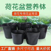 荷花盆营养钵睡莲盆水生植物盆加厚无孔塑料碗莲盆育苗杯营养杯