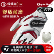 taylormade泰勒梅高尔夫手套男士，舒适运动透气防滑耐磨左右手golf