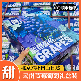 云南蓝莓葡萄礼盒装新鲜夏黑葡萄当季纯甜孕妇水果