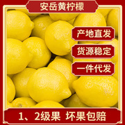 四川安岳柠檬鲜果当季12级新鲜水果产地直发，尤力克黄柠檬(黄柠檬)