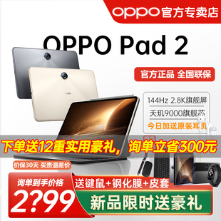OPPO Pad 2平板电脑网课学习办公绘画游戏商务专用padoppo2023