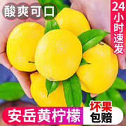 正宗四川安岳黄柠檬新鲜水果柠香浓郁皮薄当季香水甜青柠檬10