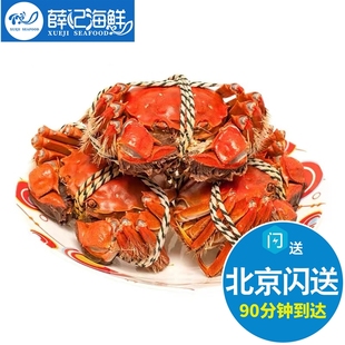 北京闪送 4.0-3.0两公母任选10只 鲜活大闸蟹鲜活 螃蟹 送蟹醋