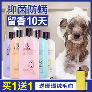 狗狗沐浴露金毛萨摩耶泰迪专用宠物，用品猫犬通用洗澡香波美毛除臭(毛除臭)