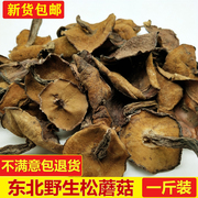 东北松蘑菇野生松蘑新鲜松树蘑菇干货粘团子松树菇松蛾子山珍500g