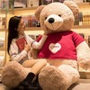 正版泰迪熊猫公仔毛绒玩具，抱抱熊大熊可爱布娃娃玩偶生日礼物女生
