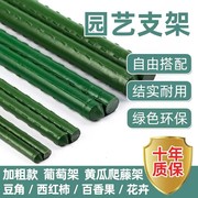 户外爬藤架庭院种菜架豆角黄瓜架杆植物攀爬花支架葡萄架园艺