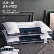远梦决明子磁疗枕头家用全棉单人，护颈椎枕芯助睡眠抗菌磁疗保健枕