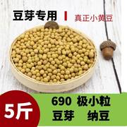 东北黑龙江小粒黄豆690豆芽纳豆用专小黄金黄豆浆5斤农家自种