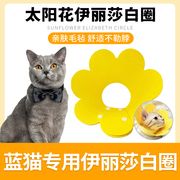 蓝猫专用伊丽莎白头套脖圈防舔防咬猫咪幼猫绝育软圈宠物项圈