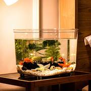 鱼缸客厅小型桌面小鱼缸家用水族箱生态塑料金鱼缸水草乌龟缸