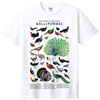 鸡形目短袖t恤火鸡鹌鹑孔雀鸟类科普生物自然科学动物亲子装纯棉