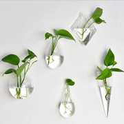 掉下来包赔壁挂玻璃花瓶小鱼缸绿箩水培植物，花盆室内墙面装饰
